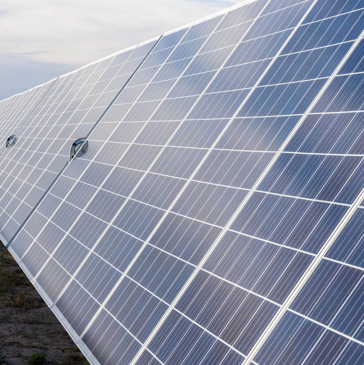 Gros plan sur panneau solaire - Soligraphe